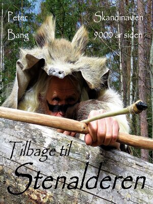 cover image of Tilbage til Stenalderen